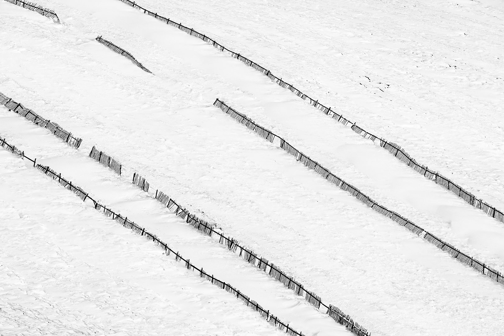 Snow Fence I